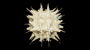 Fractal form process