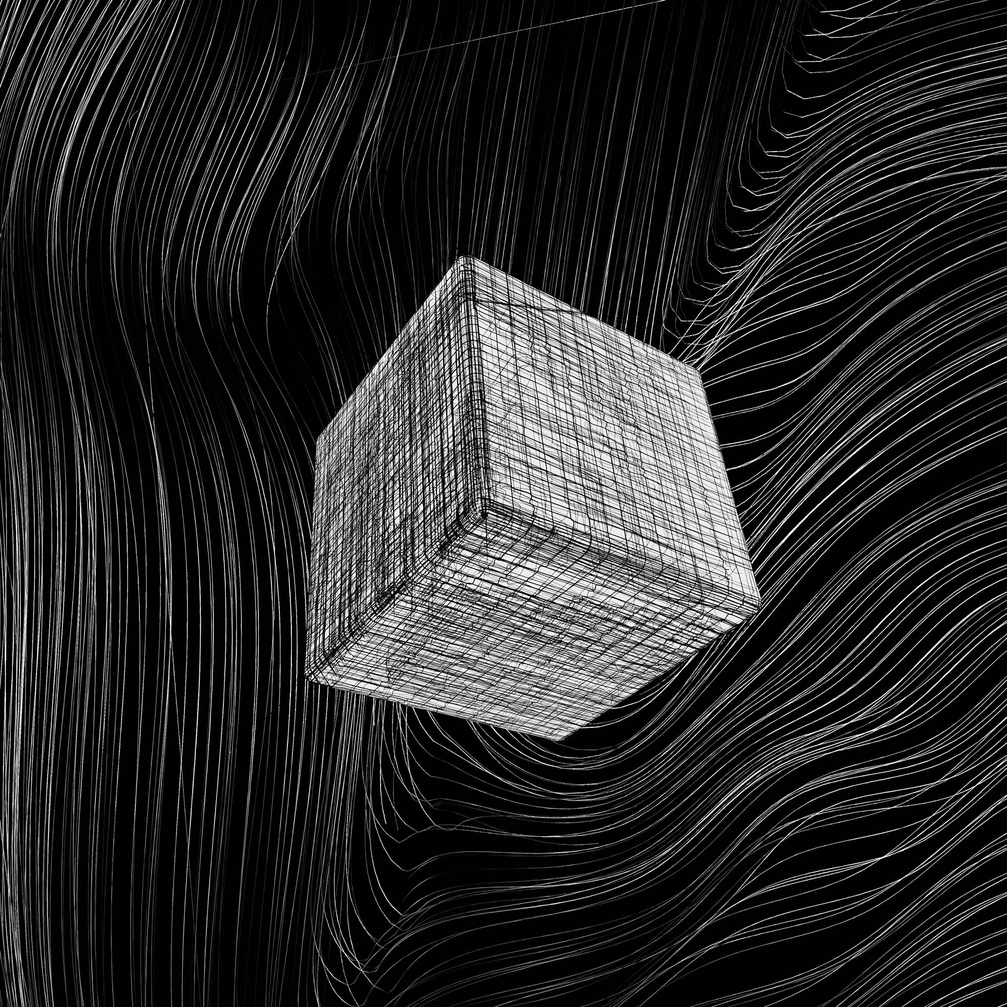 Black Box White Cube