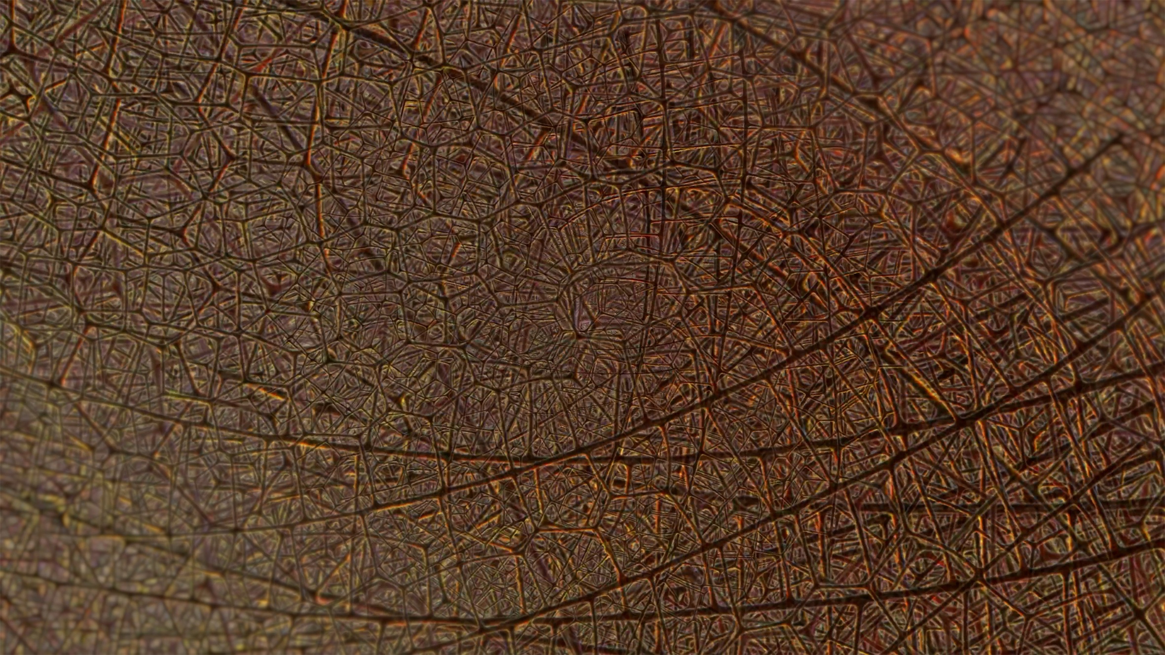 Ten Years In The Ground